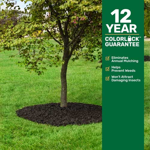 Black Rubber Mulch around base of a tree landscape