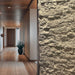 Evolve Stone Winter Valley in Hall