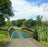 Golf Course bridge with Green anti-slip matting
