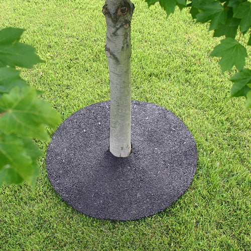 rubber tree ring at base of tree groundsmart