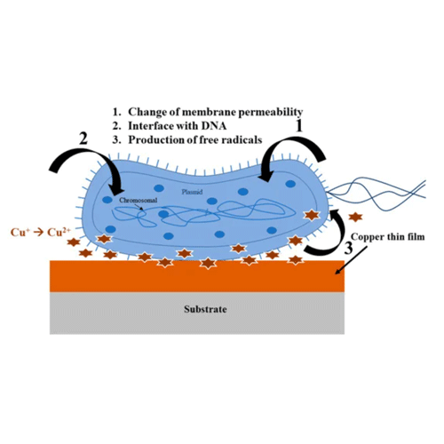 copper coating inhibiting bacterial growth and spread on surfaces