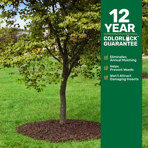 groundsmart rubber mulch around tree base prevent weeds and pests