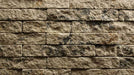 Evolve stone siding district view afternoon vale color
