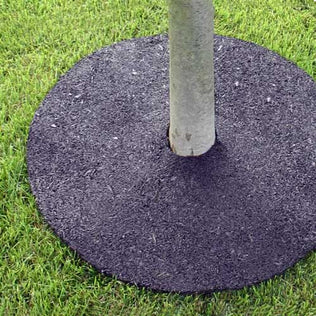 Brown Rubber Tree Ring in yard with grass