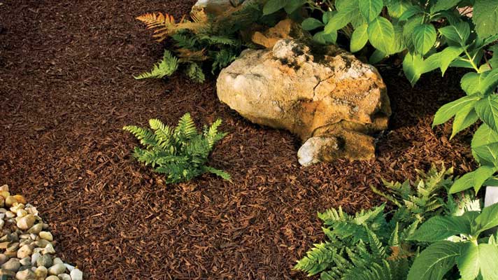 Brown shredded rubber mulch with plants in beds